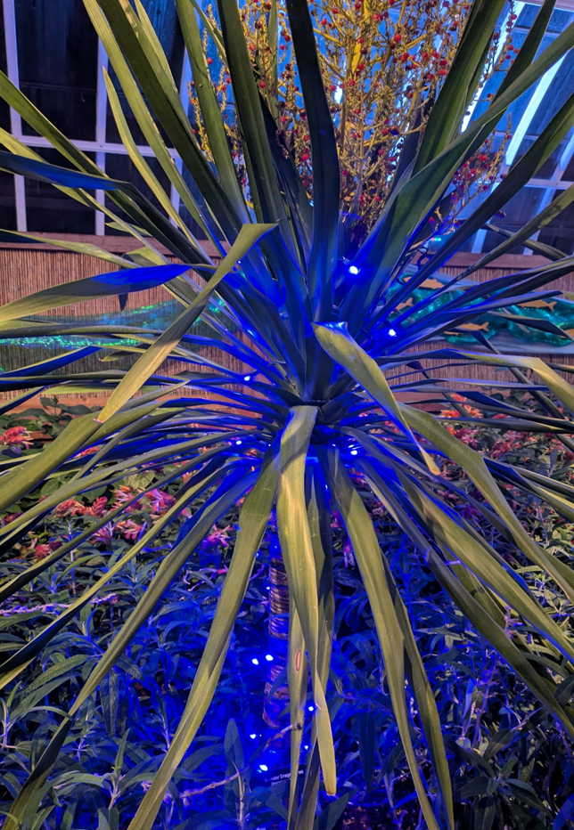 Когда ещё хочется немного волшебства