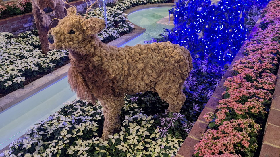 Когда ещё хочется немного волшебства