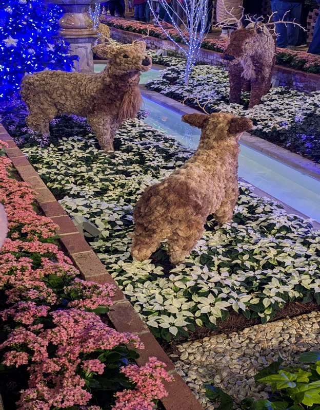 Когда ещё хочется немного волшебства