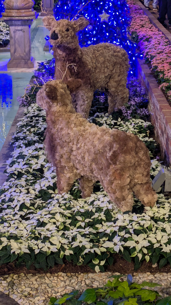 Когда ещё хочется немного волшебства