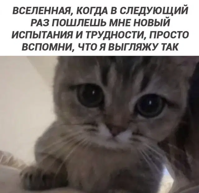 Дичка опохмеличка