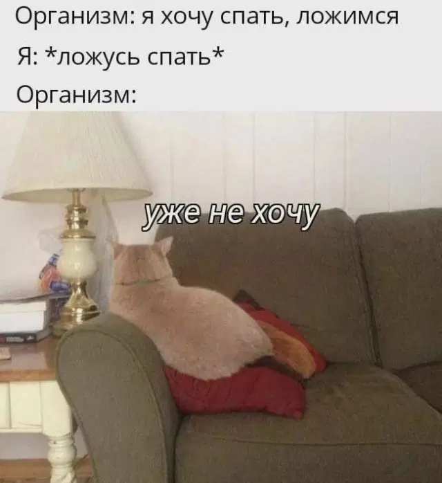 Дичка опохмеличка