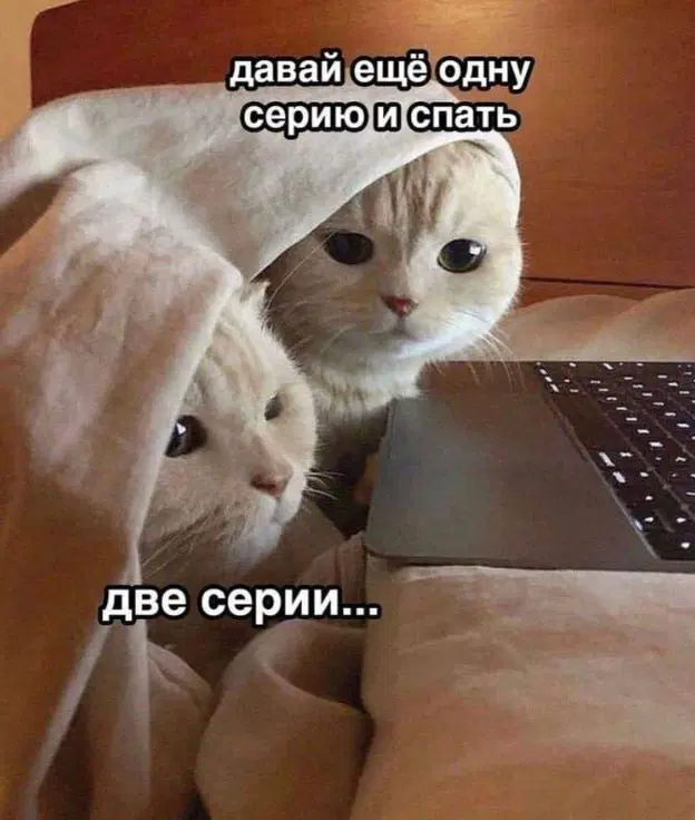 Дичка опохмеличка