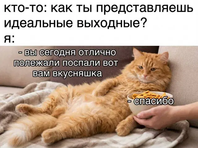 Дичка опохмеличка