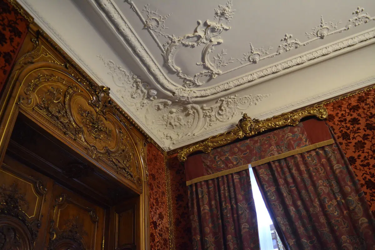 Питер. 2025 -2026.  Ничего личного просто то что понравилось и захотелось сохранить.