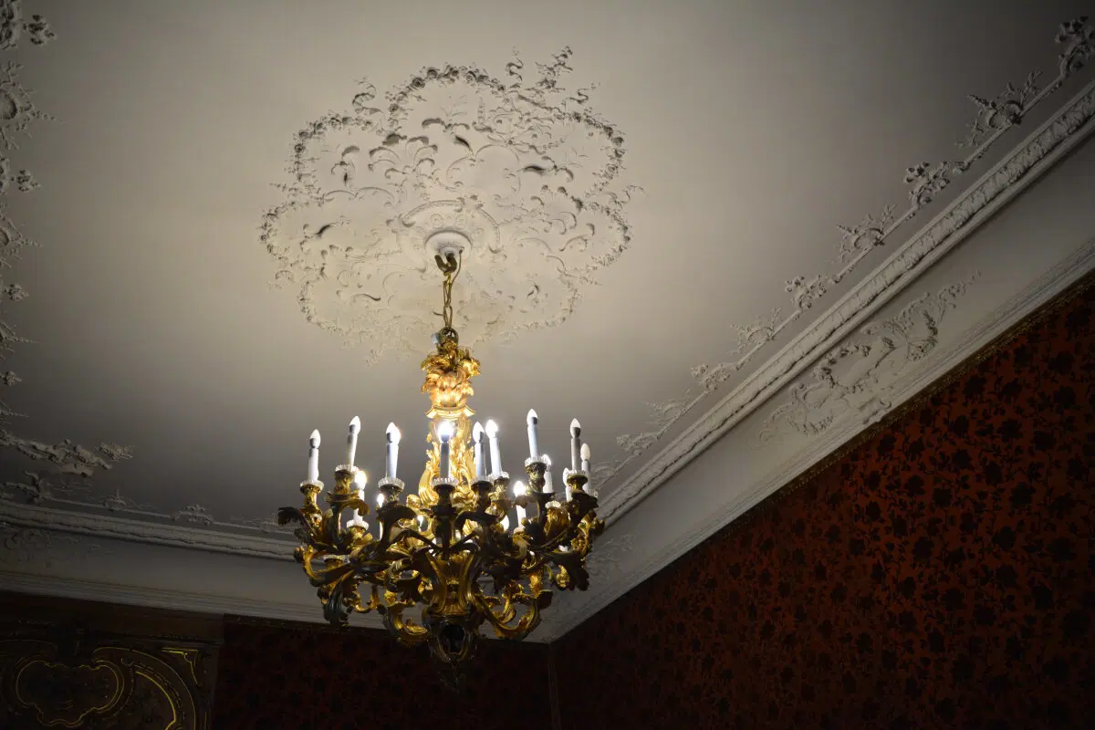 Питер. 2025 -2026.  Ничего личного просто то что понравилось и захотелось сохранить.