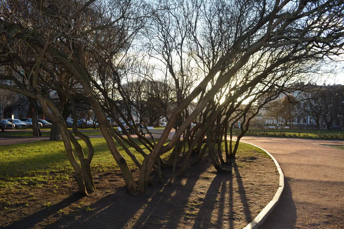 Питер. 2025 -2026.  Ничего личного просто то что понравилось и захотелось сохранить.