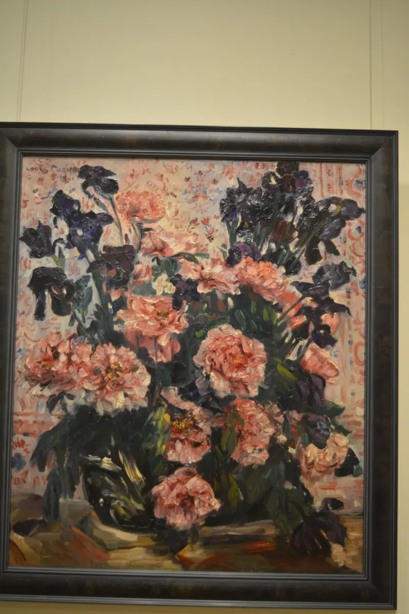 Питер. 2025 -2026.  Ничего личного просто то что понравилось и захотелось сохранить.