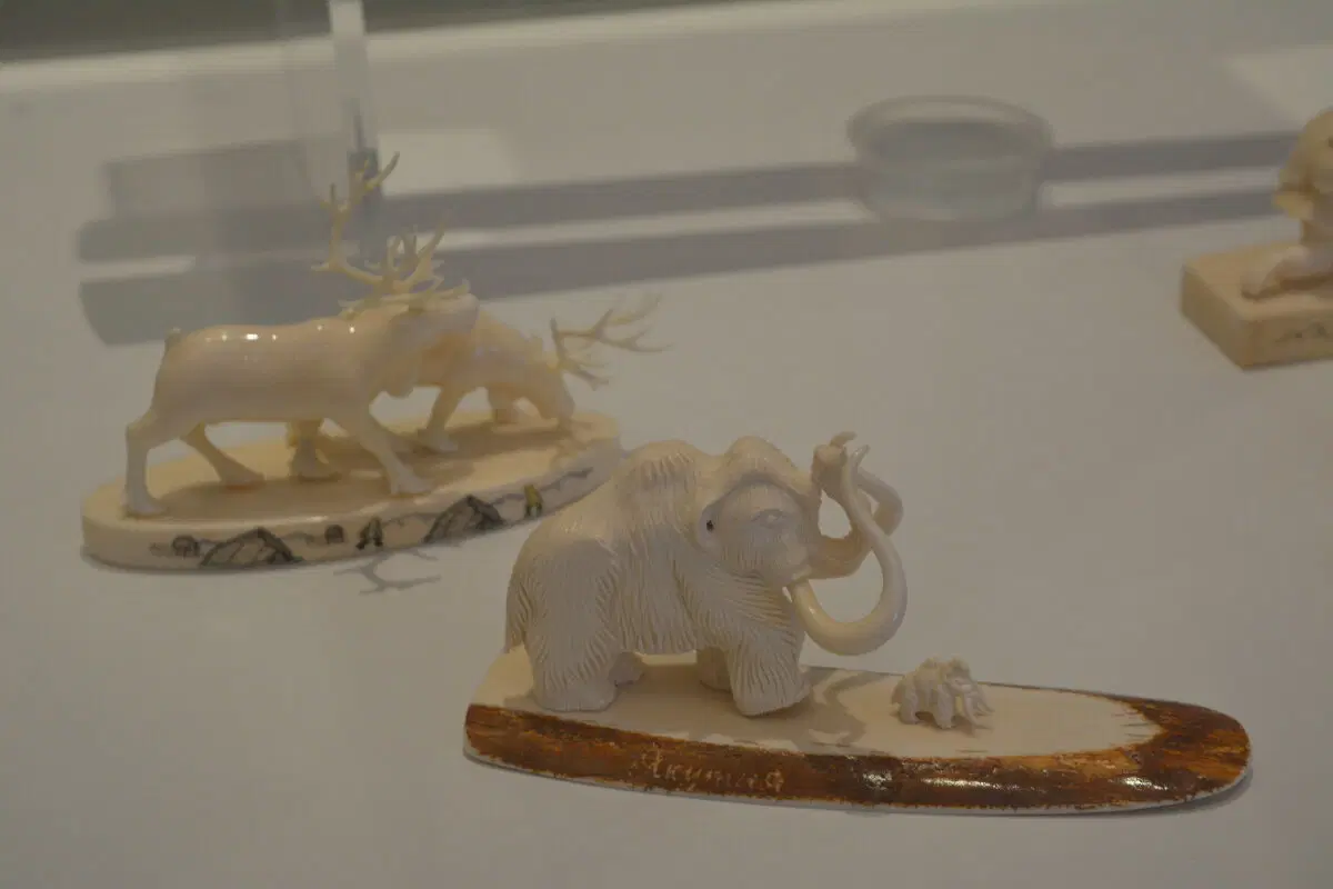 Питер. 2025 -2026.  Ничего личного просто то что понравилось и захотелось сохранить.