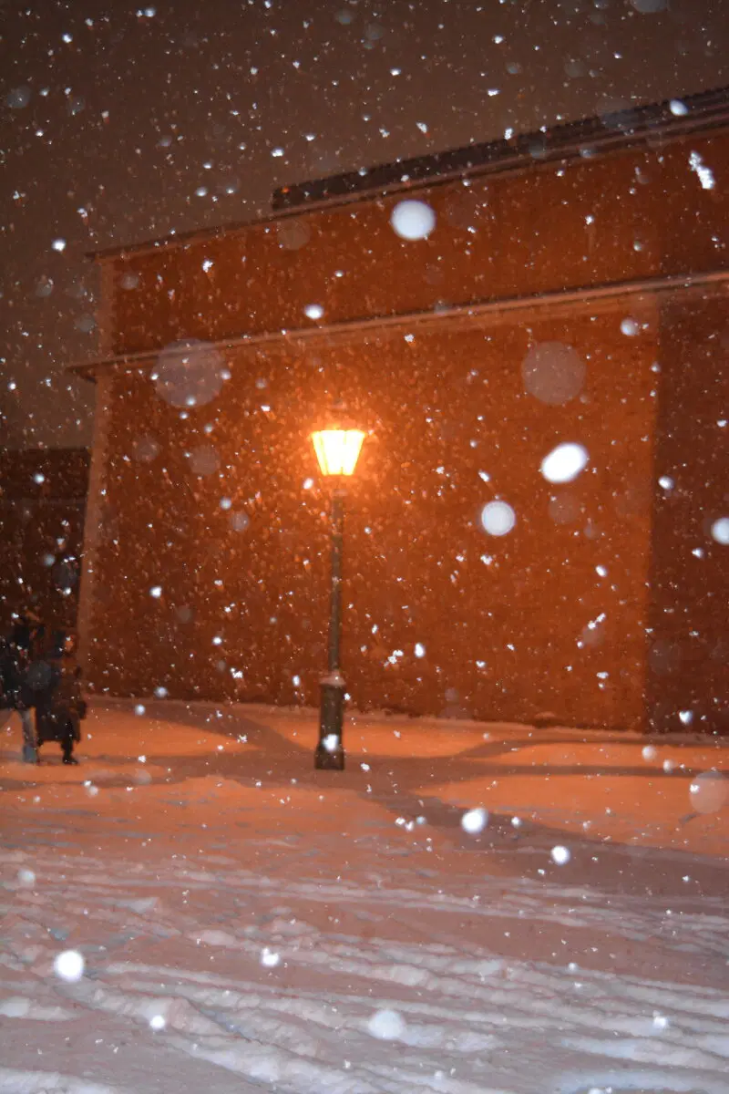 Питер. 2025 -2026.  Ничего личного просто то что понравилось и захотелось сохранить.