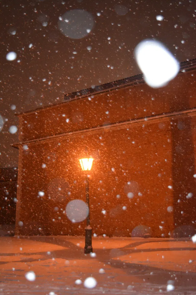 Питер. 2025 -2026.  Ничего личного просто то что понравилось и захотелось сохранить.