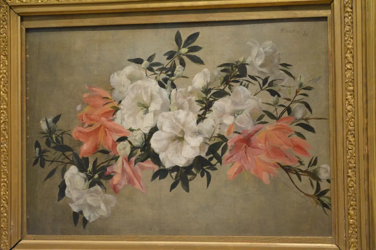 Питер. 2025 -2026.  Ничего личного просто то что понравилось и захотелось сохранить.