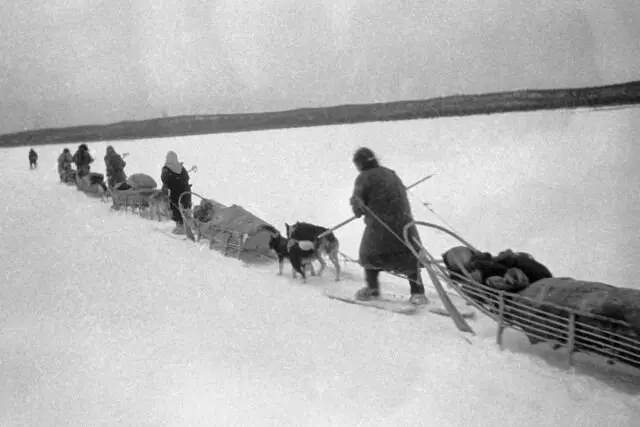 Ивент как белки в глаз. Промысел