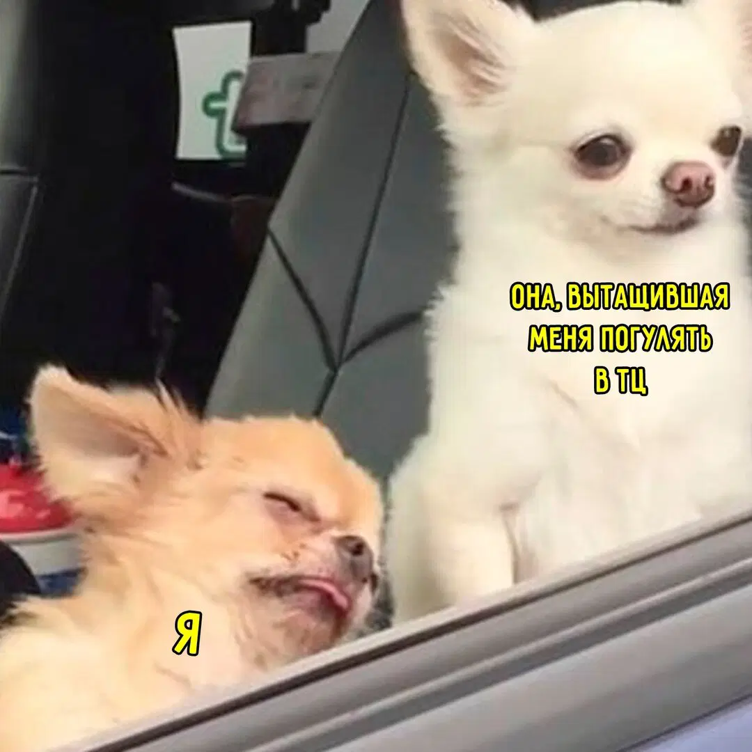 Среда? Значит дичка )))