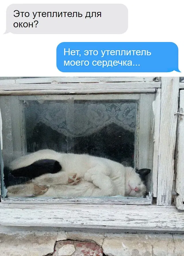 Среда? Значит дичка )))