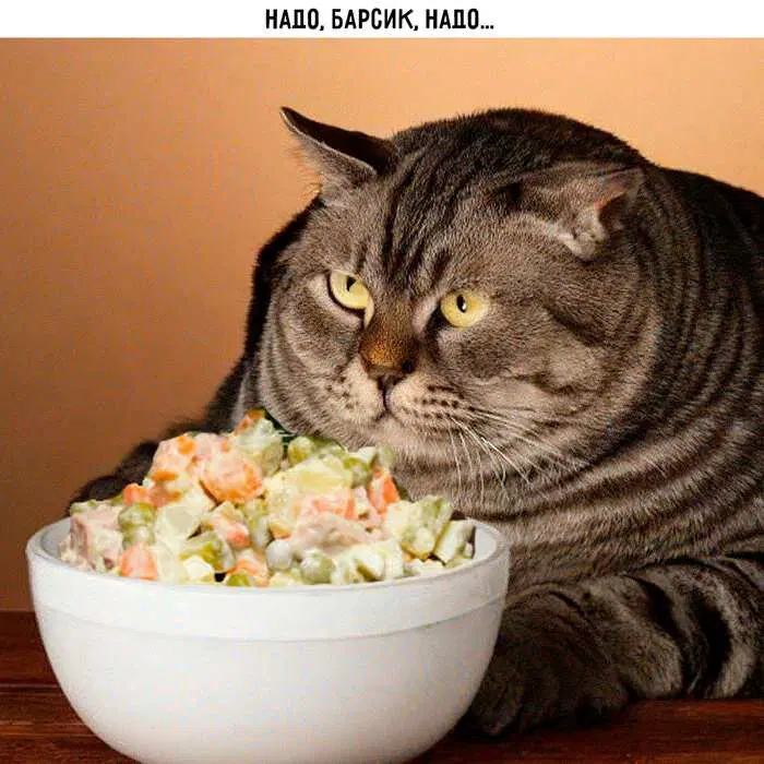 Среда? Значит дичка )))