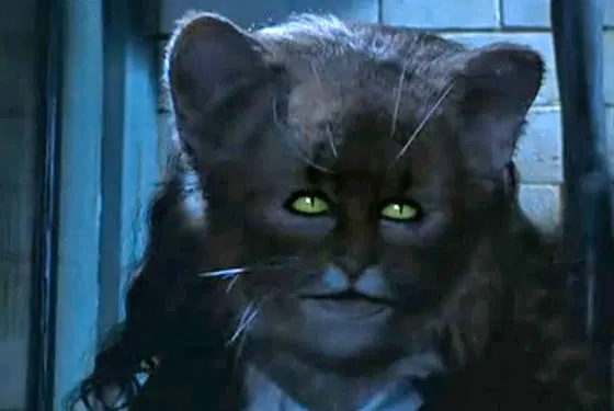 Её около недели лечили в больничном крыле Хогвартса, но она так и не созналась как приняла такое обличье.