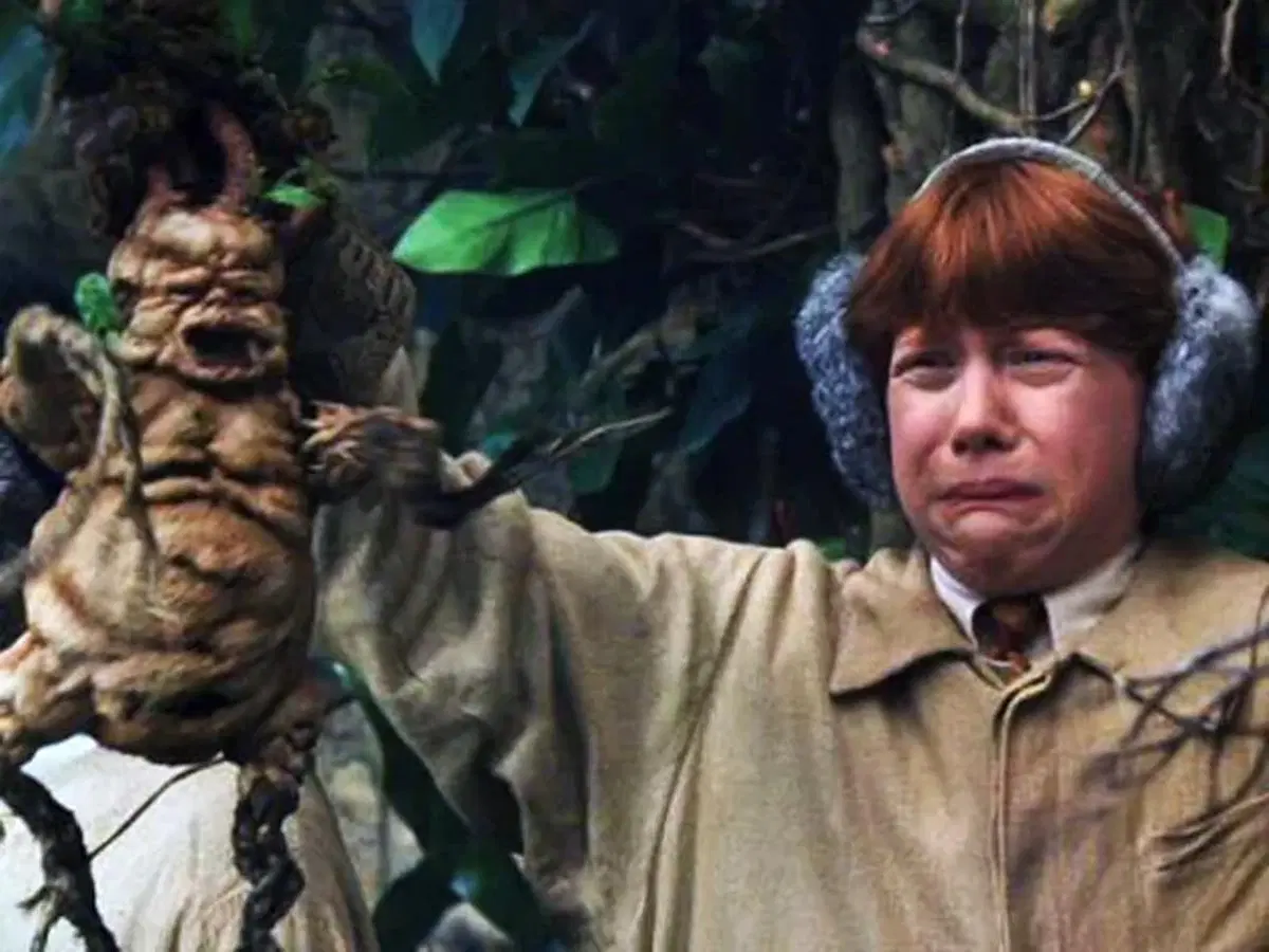 Промысел и ремёсла во вселенной Гарри Поттера.