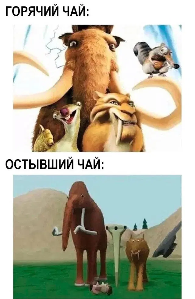 А может дички?