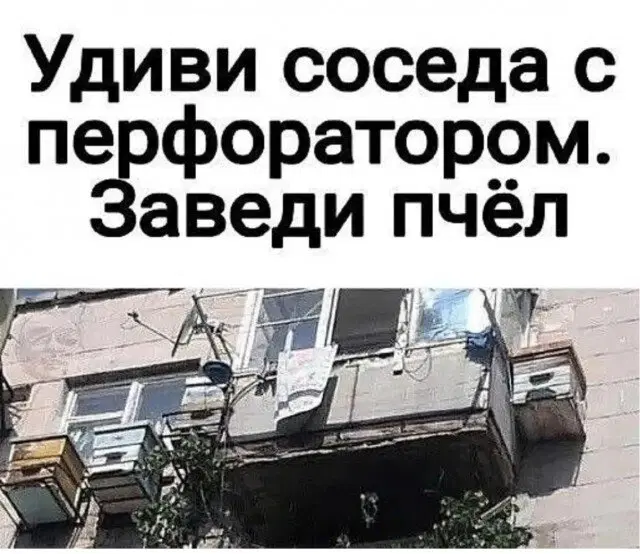 А может дички?