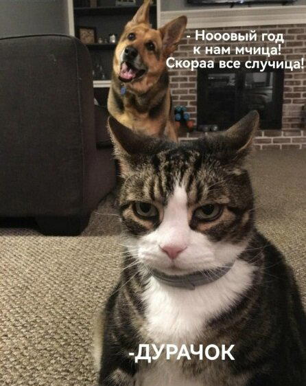 Дичьки много не бывает