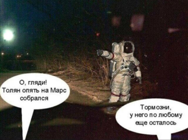 Дичьки много не бывает