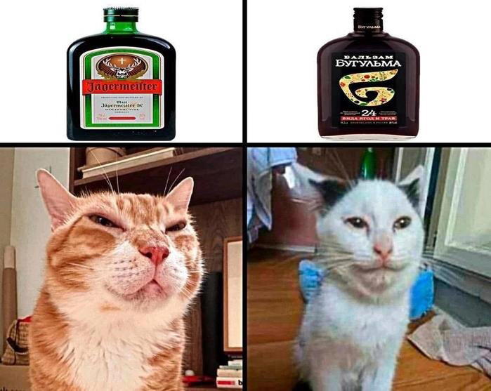 Дичка упала в снежок января