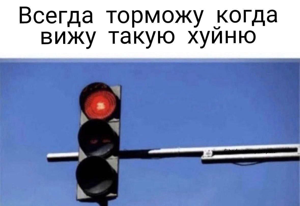 Дичка упала в снежок января