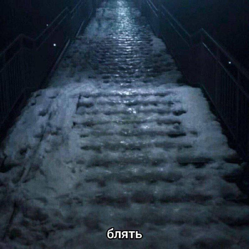 Дичка упала в снежок января