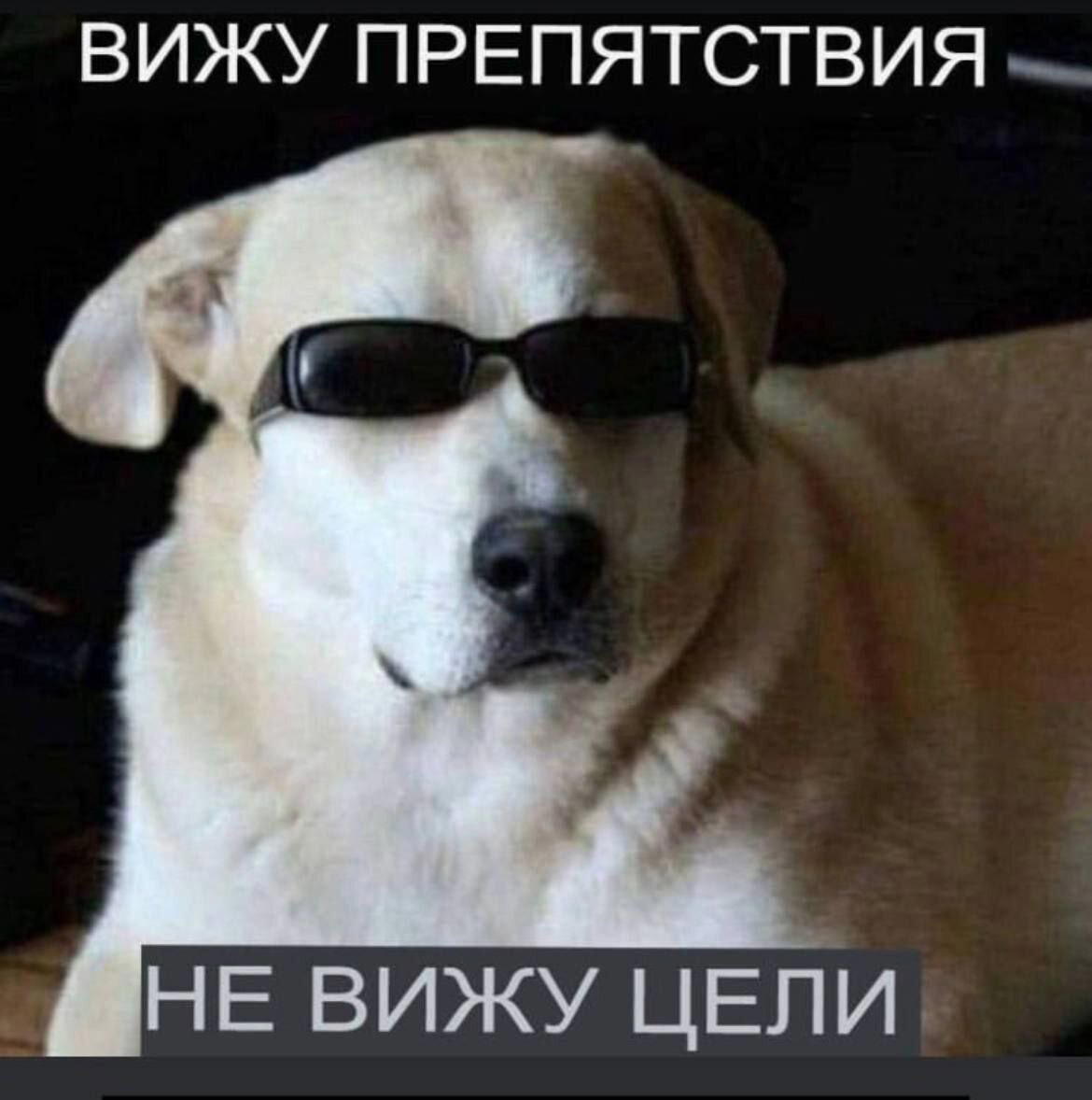 Дичка упала в снежок января