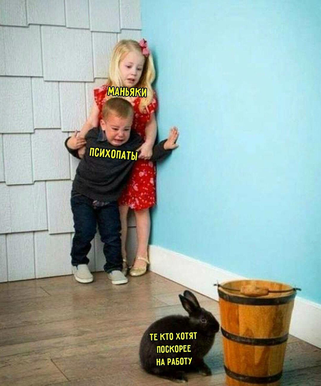 Дичка упала в снежок января