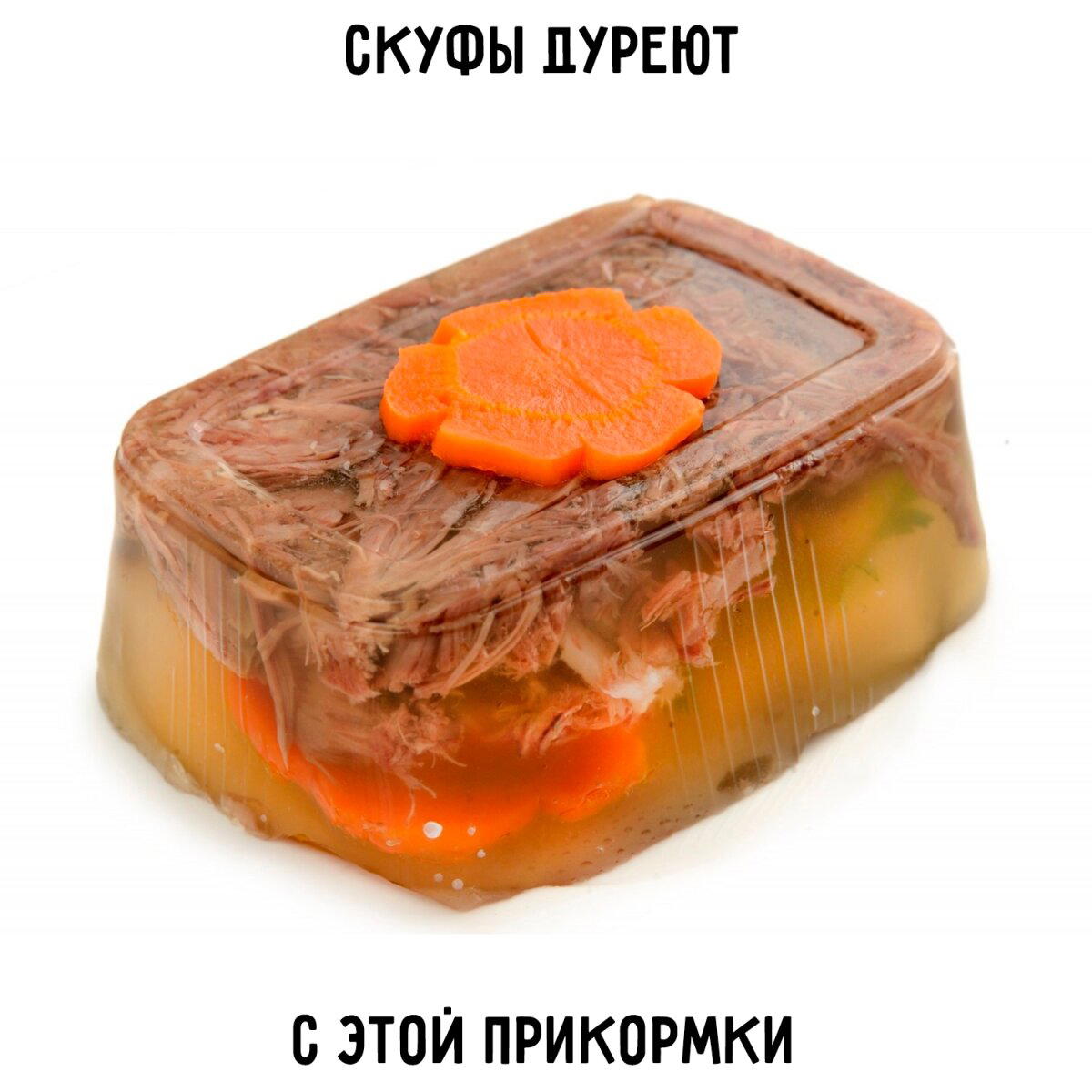 Дичка упала в снежок января