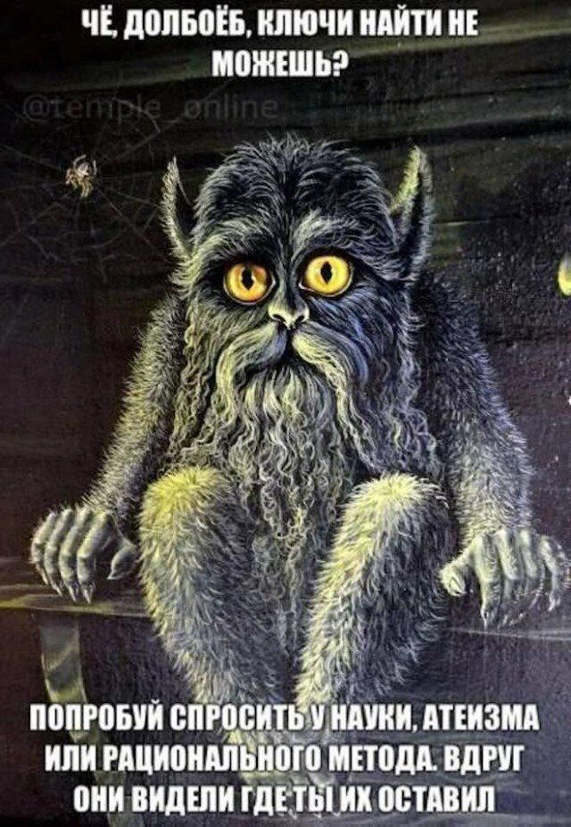 Дичка упала в снежок января