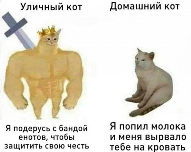 Дичка упала в снежок января