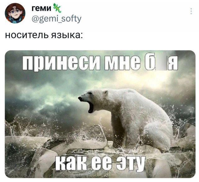 Дичка упала в снежок января