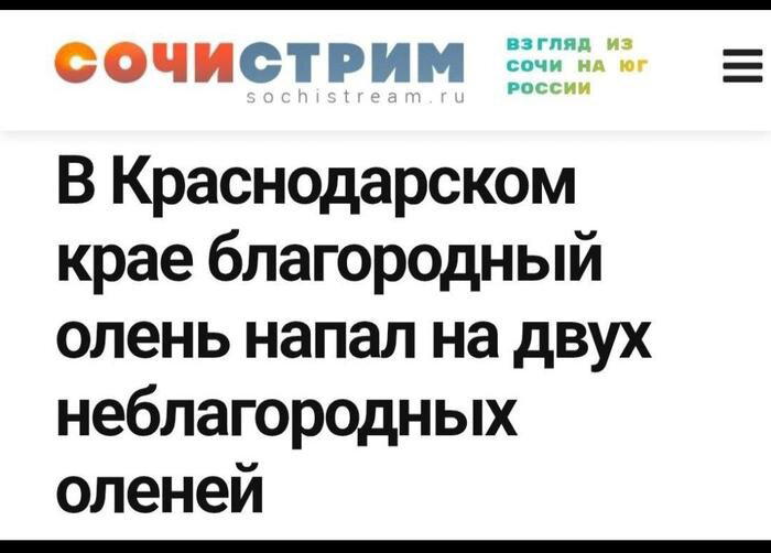 А давайте дичной дички попробуем
