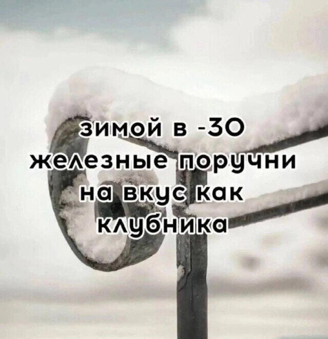 А давайте дичной дички попробуем