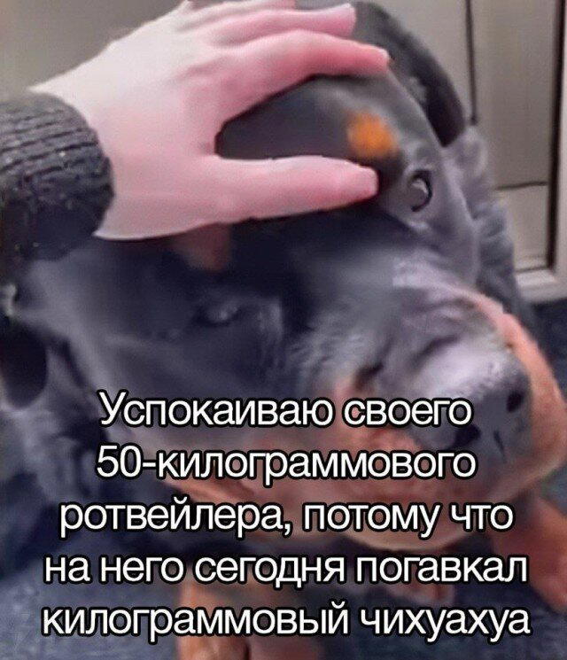 А давайте дичной дички попробуем