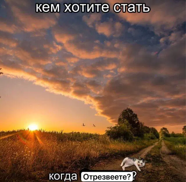 Дичка к вечеру