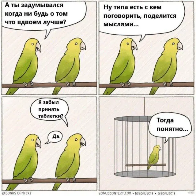 Дичка к вечеру