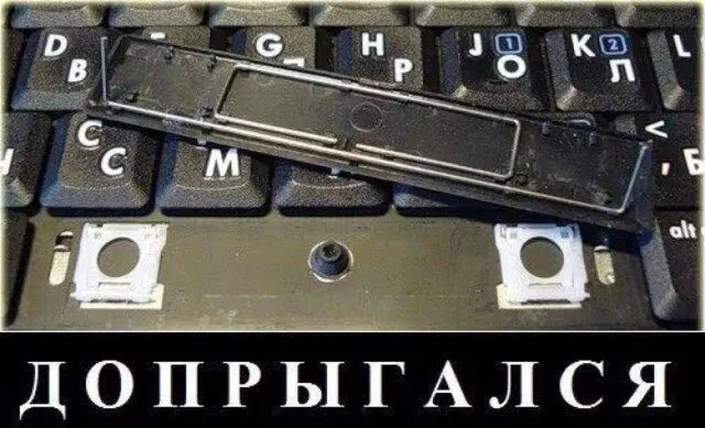 Дичка к вечеру