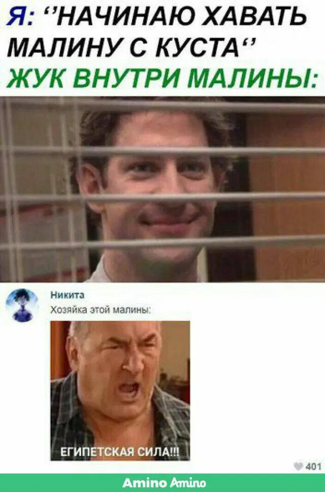 Дичка к вечеру