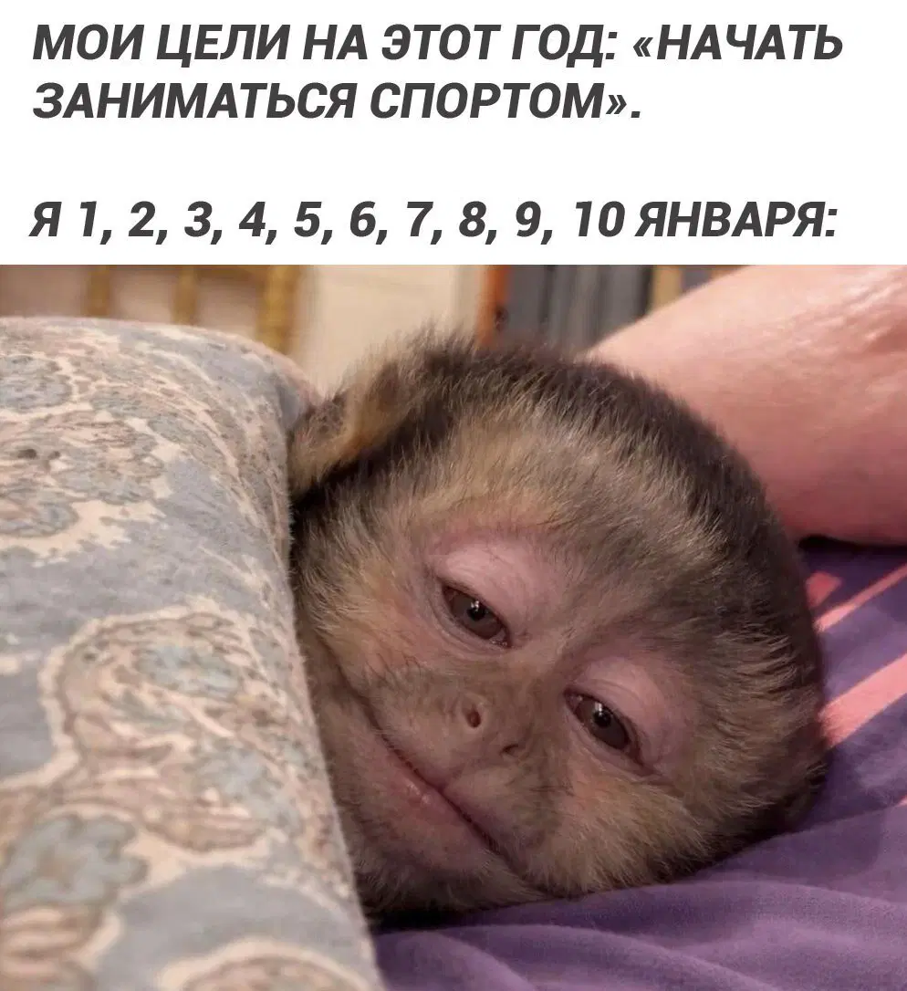 Дичка к вечеру