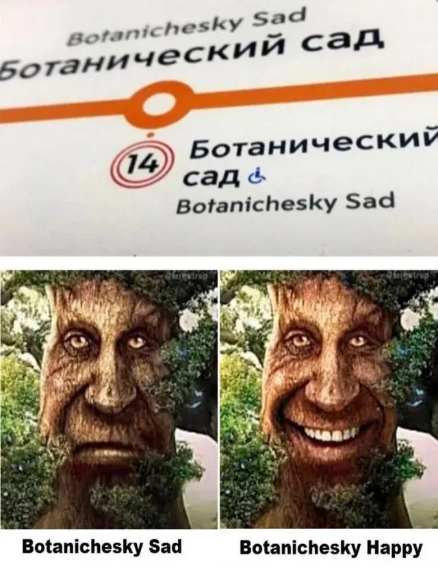 Дичка к вечеру