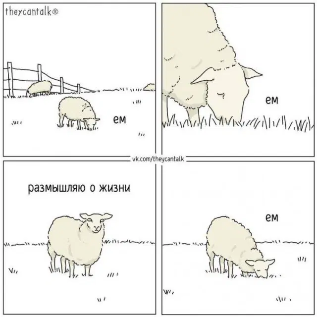 Дичка к вечеру