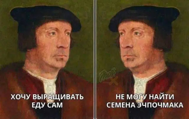 Дичка к вечеру