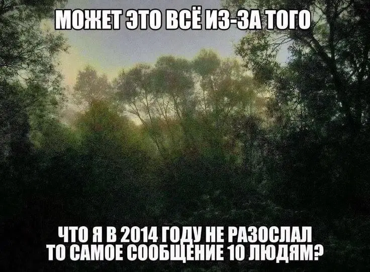 Дичка к вечеру