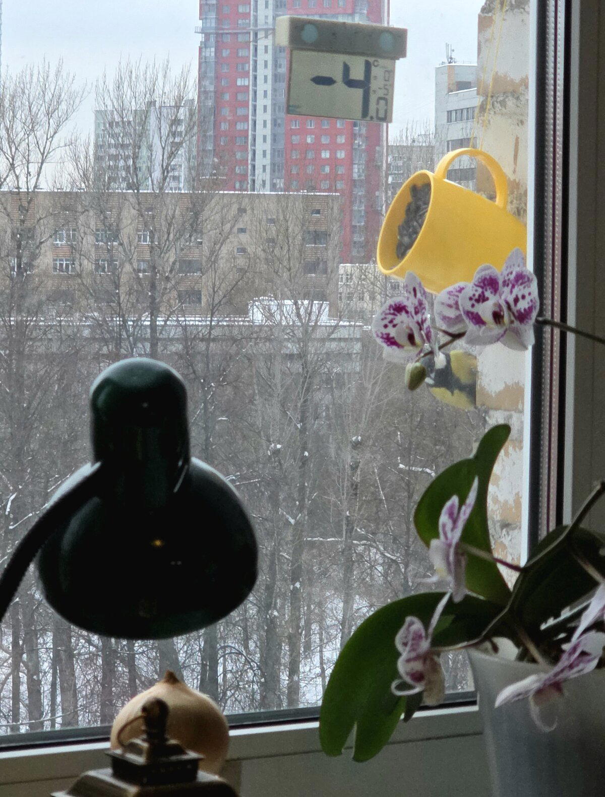 Промышляем птичек