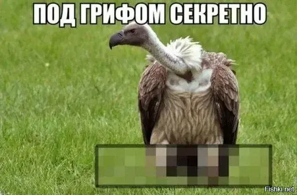 Дички под конец выходных