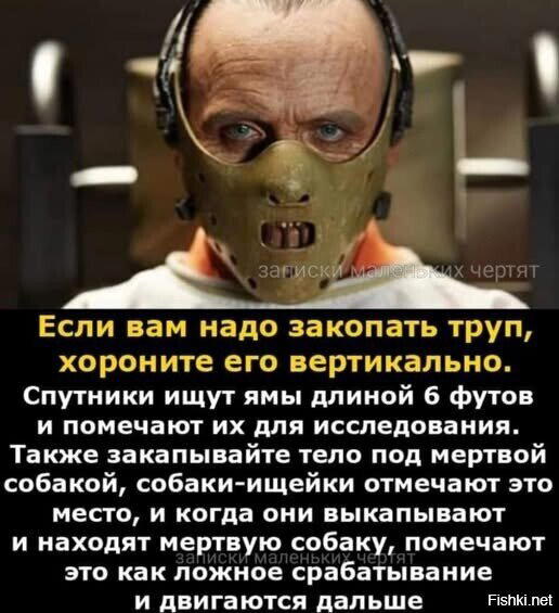 Дички под конец выходных